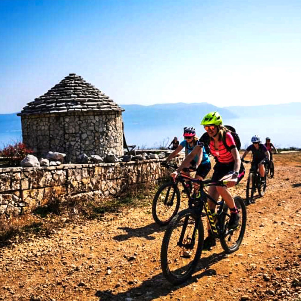 Mountain Biking Tours